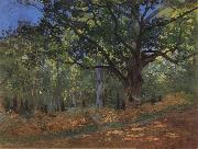 Claude Monet The Bodmer Oak,Forest of Fontainebleau France oil painting artist